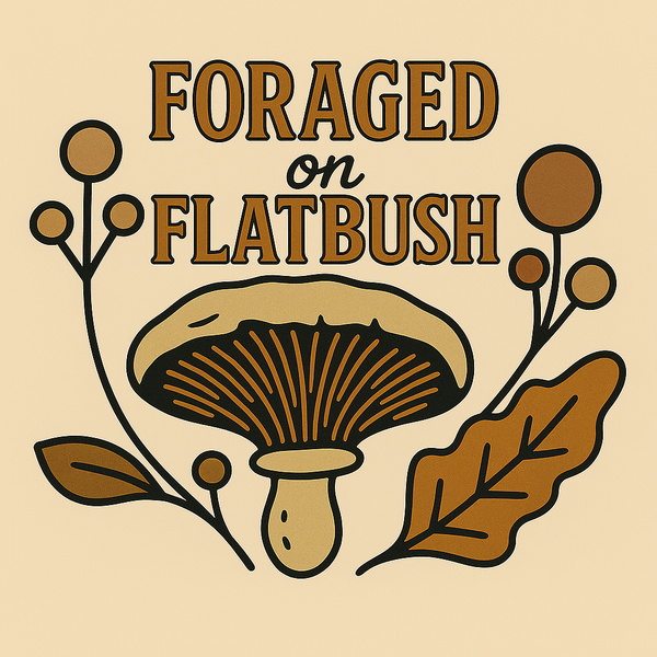 Foraged on Flatbush